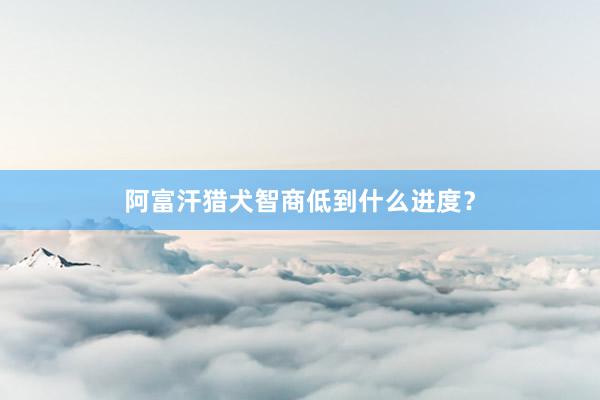 阿富汗猎犬智商低到什么进度？