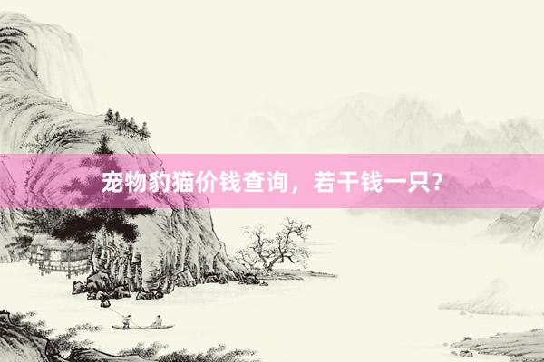 宠物豹猫价钱查询，若干钱一只？